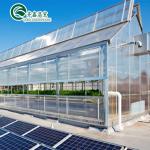 Main Structure Hot Galvanizing Aluminum Steel Prefabric Green House for Tomato