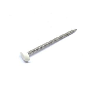 Quality 50mm X 2.65mm Annular Ring Shank Plastic Cap Roofing Nails Stainless Steel A4 Grade wholesale