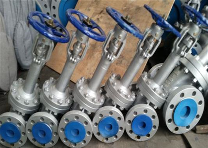 Valve 450-10 Precision Metal Casting Ductile Iron Casting Heat Treatment Metal