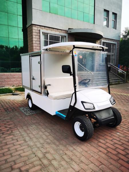 Classic Two Seater Electric Lithium Battery Golf Van Special Vehicle Supports