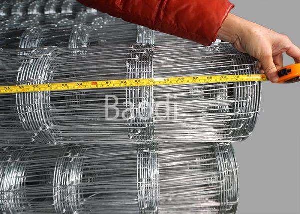 Cheap Electro Galvanized Wire Mesh Fence 74 Inches Height For Field , Farm Fence for sale