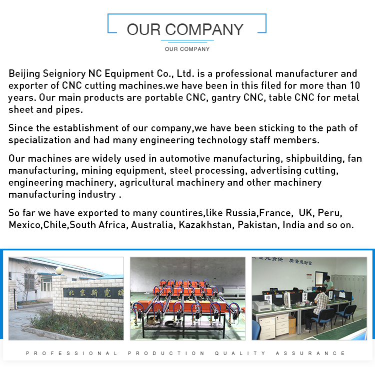 Single Phase Small CNC Plasma Cutter 220 Volt Mini CNC Plasma Table