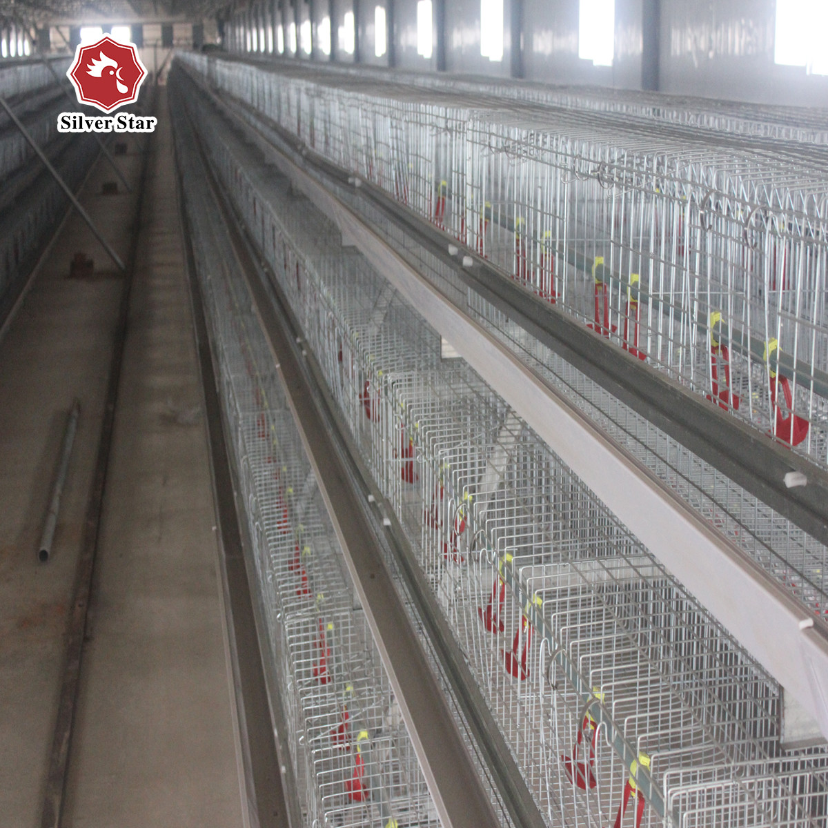 200 Chickens Automatic Layer Chicken Cage Poultry Farming Chicken Hen Cage