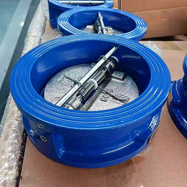 DN125 DI Stainless Steel jis 10k pn16 bs din swing Stop Spring Duo Dual check
