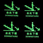 Aluminum Downstairs Photoluminescent Safety Signs Glow In The Dark