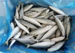 Pacific IQF Fish 80g Whole Round Bulk Fresh Frozen Mackerel