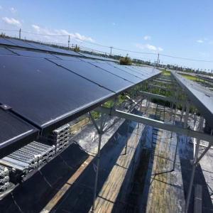 Quality Shopping Centers Solar PV Glass Panels For Sustainable Energy Generation wholesale