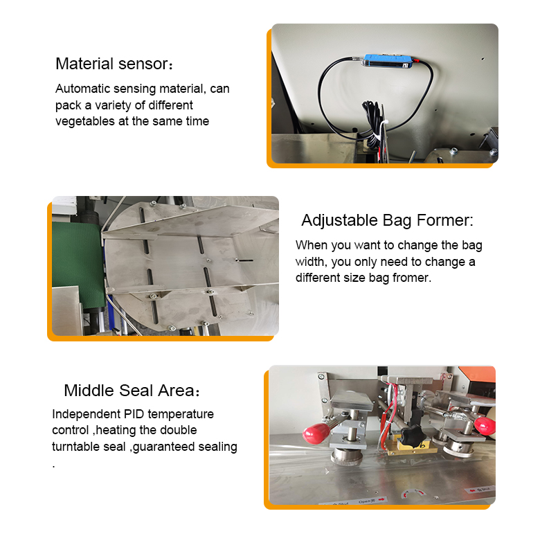 Professional Manufacturer Heat Sealer Package PLC Servo Motor Food Flowing Wrapping Machine