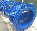 Ductile Iron BS5155 DN100 Tilting Disc Check Valve Epoxy Coating