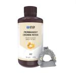 Long-Lasting Low Water Absorption Permanent Crown Resin for Porcelain-Filled