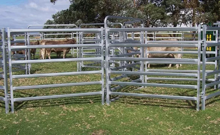 5.8m-12m Gi Pipe Oval Round Galvanized Livestock Fencing 1.8mx2.1m