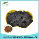 High Pure Physcion Powder 99% Fo-ti Root Extract