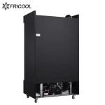 2/3 HP Glass Door Merchandisers R290 GAS Commercial Upright Fridge