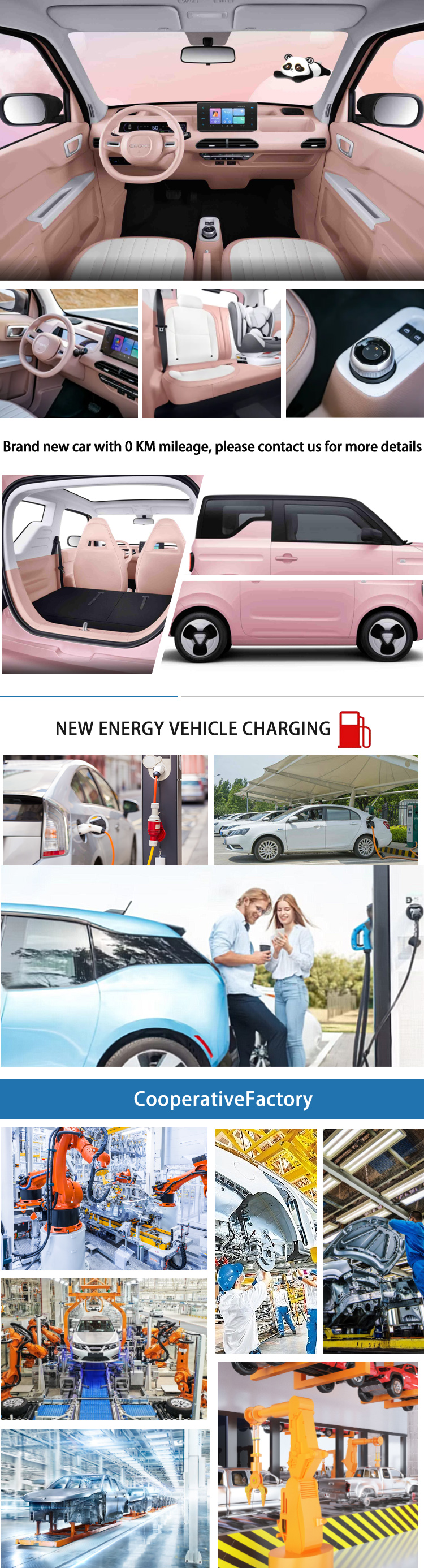 Adult Electric EV Small Car Geely Panda Used Compact Car Fast Charging