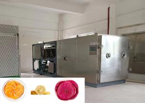 Quality Food Vacuum Vegetable Freeze Dryer Customizable Large wholesale