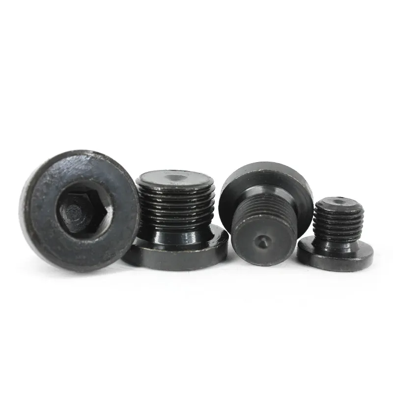 10mm ALLOY Stainless Steel Hexagon Socket Pipe Plug Screw Din908 with ZINC Treatment Protection Guaranteed by 10-