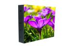 Pixel Pitch 6mm Led Display Outdoor Led Display Advertising Board Max Power 25W