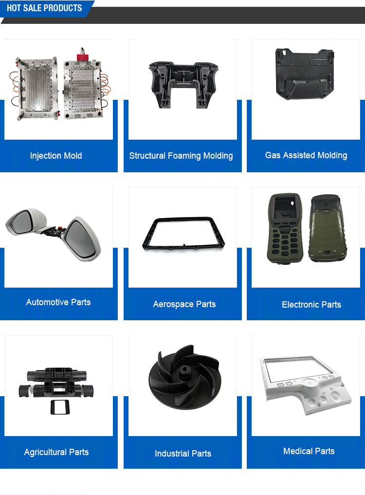ODM Plastic Injection Mold 738 / S136 ABS / PA66 Carbon Fiber Silk Screen