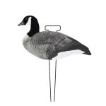 Grey Canada Snow Goose Hunting Decoy With Flocked Head Upright Or Feeder Body