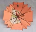 TUV Outdoor Metal Shaft Kids Compact Umbrella