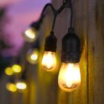 Festoon Garland Light LED Clear Bulb Belt Lights Low Voltage Lighting Strand
