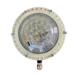 220V LED Security Flood Light