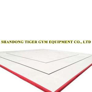 Quality Gymnastics Equipment Gymnastics Aerobic Floor wholesale