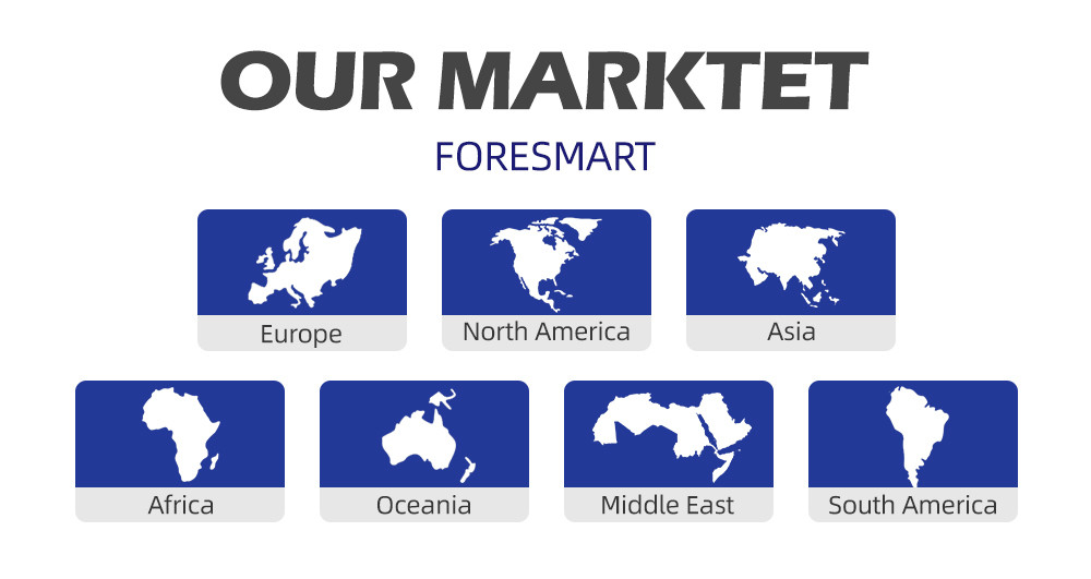 20FT FCL International Shipping Sea Freight