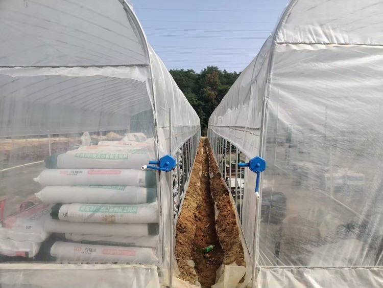 Commercial Large Agricultural Greenhouse UV Film Vegetable Hydroponic Greenhouse