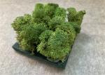 Nature Moss 3d Acoustic Wall Panels For Walls Green Plant Decoration Mildew