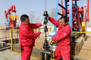 Quality CNPC BOMCO pumping unit sucker rod sealing BOP wholesale