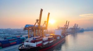 Quality Cosco EMC OOCL Customs Brokerage &amp; Clearance From China To The United States wholesale