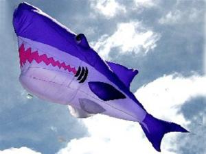 Quality Vicious shark inflatable helium balloon for decoration wholesale
