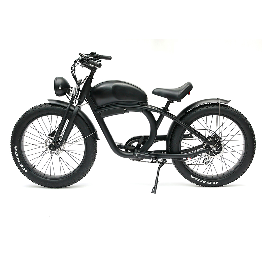 Long Range 48V 750W Rear Hub Motor Electric Motorbike with 48V 20Ah Lithium Battery