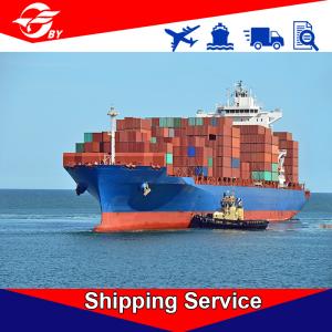 Quality Safe DDP Delivery Services , Freight Forwarding Agent Ningbo To Boston New York Baltimore wholesale