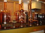 500L Mini Micro Brewery Equipment Turnkey Brewing System CE Certification