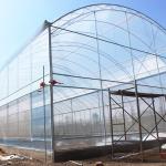 Poly Tunnel Plastic UV Resistant Film Tomato Herb Hydroponic Single Greenhouse