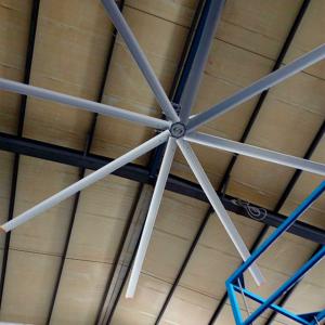 Quality 4900mm 16 Foot Ceiling Fan , HVLS Large Indoor Ceiling Fans For Public Space wholesale