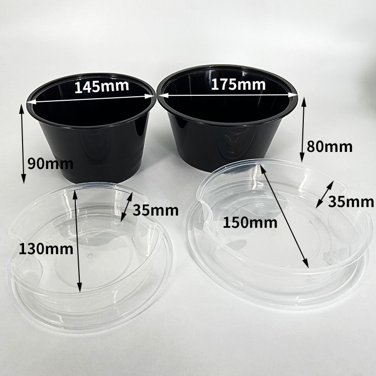 2 Layer Takeaway Food Container 1000ml Dioposable Noodle Soup Plastic Take Out Containers