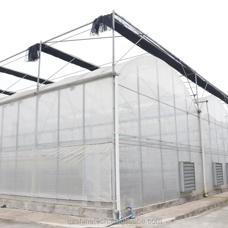 PE Multi Span Greenhouse for Tomato Growing and Agricultural in Tropical Climate