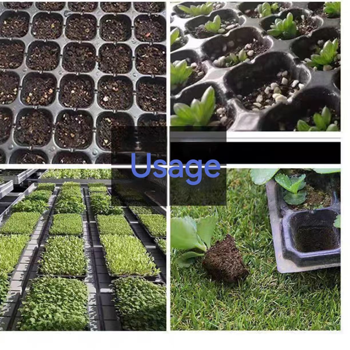 50 Cells Nursery Seedling Tray Black Hydroponics Seed Sprouting Tray
