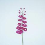 Real Touch PU Phalaenopsis