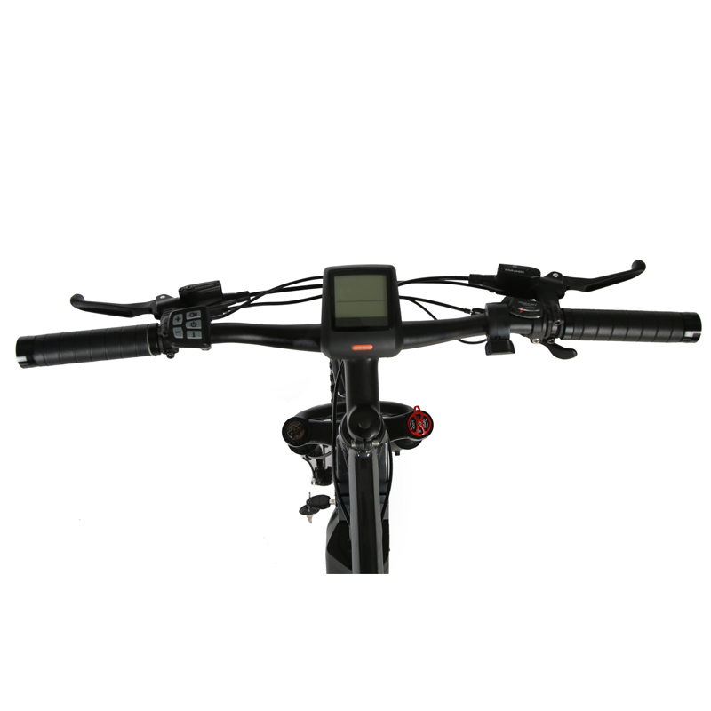 Electric Mountain Bike High Power 1000W Bafang Dual Motor and Rear Drive Speed 38km/h