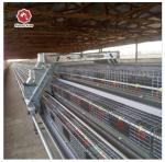 Breeding Equipment Customized Multi Layer Chicken Cage European 54 Chickens