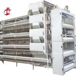 Most Popular H Type Automatic Poultry Farming Cage System For Large Farm Adela