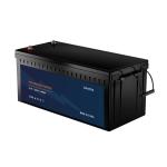 Rechargeable 12V LiFePo4 Battery Lithium Ion Batteries 300ah 12.8V High Capacity
