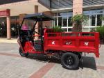 DAYANG Big Space Displacement 250cc Delivery Motorized Tricycle for Zambia Cargo