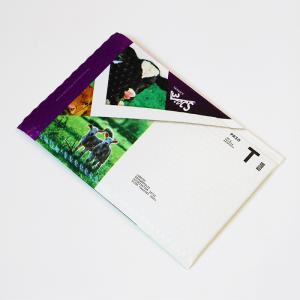 Quality Customizable Plastic Bubble Bags Waterproof Shockproof Protect Goods wholesale