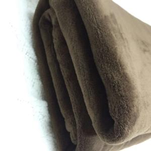 Quality Super Soft Solid Coral Polyester Fleece Blanket Throw Blanket Anti Pilling High Density wholesale