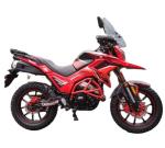 Brushless Motor Tekken Racing Bike Motorcycle 300CC Race Bike OEM